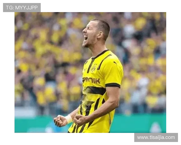 科瓦奇盛赞科贝尔吉拉西施洛特贝克安东为多特胜利核心力量 科瓦奇盛赞科贝尔吉拉西施洛特贝克安东为多特胜利核心力量